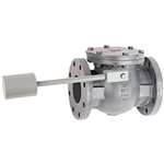 4 Cast Iron 125# Flanged Check Lockwing