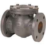 5 Cast Iron 125# Flanged Check