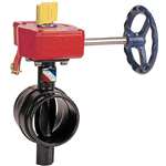 4 Ductile Iron 300 # UL FM Grooved Butterfly Valve Gear Operator Switch
