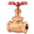 Not For Potable Use 1 Bronze 174# Threaded UL EPDM Globe