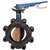 2-1/2 Cast Iron 200 # Aluminum Bronze EPDM Lug Butterfly Valve Latch Lock Lever
