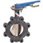 10 Cast Iron 200 # Aluminum Bronze EPDM Lug Butterfly Valve Gear Operator