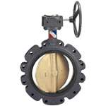 16 Ductile Iron 150 # Aluminum Bronze EPDM Lug Butterfly Valve Gear Operator