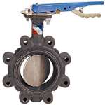 2-1/2 Ductile Iron 200 # Bronze EPDM Lug Butterfly Valve Lever Operator