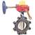8 Ductile Iron 250 # UL FM Lug Butterfly Valve Gear Operator Switch