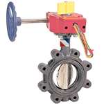 8 Ductile Iron 250 # UL FM Lug Butterfly Valve Gear Operator Switch