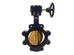 10 Cast Iron 200 # Aluminum Bronze EPDM Lug Butterfly Valve Gear Operator