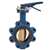 2-1/2 Cast Iron 200 # Aluminum Bronze EPDM Lug Butterfly Valve Lever Operator