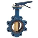 2-1/2 Cast Iron 200 # Aluminum Bronze EPDM Lug Butterfly Valve Lever Operator
