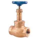 Not For Potable Use 1-1/4 Bronze 125# Threaded Globe