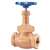 Not For Potable Use 1/2 Bronze 150 # Threaded PTFE Globe