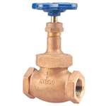 Not For Potable Use 1/2 Bronze 150 # Threaded PTFE Globe