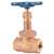 Not For Potable Use 1-1/4 Bronze Plug 300 # Threaded Union Bonnet GLO
