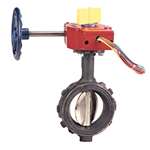 4 Ductile Iron 250 # UL FM Wafer Butterfly Valve Gear Operator Switch