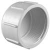 1-1/2 PVC Schedule 40 Thread Cap