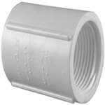 3/4 PVC Schedule 40 Thread Coupling