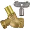 Not For Potable Use 3/4 FIP Hose Bibb With Loose Key