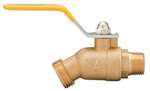 Not For Potable Use 1/2 QT Brass IPS Hose Bibb