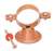 1-1/2 CTS EPOX Coated Bell Hanger