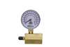 2 GAS TEST Gauge Assembly 0-100#