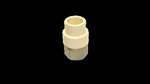 Lead Law Compliant 1 CPVC CTS X FIP Adapter Stainless Steel