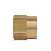Lead Law Compliant 1/2 FIP X 3/4 FHT Brass Hose Adapter
