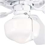 1 60 Watts Medium Fan Light Kit