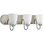Brushed Nickel 3 100 Watts Medium Bracket