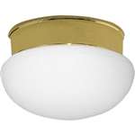 Polished Brass 1 60 Watts Medium Flush