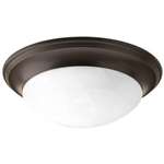 2 Flush Mount