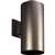 1-250W Qpar-38 OD Wall