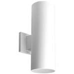 2-75W Par-30/Br-30 Wall