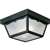 Black 2 60 Watts Medium Flush