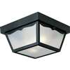 Black 2 60 Watts Medium Flush