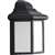 P5821-31 1-LT. Cfl Wall Lantern