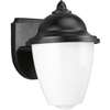 Black 1 60 Watts Medium Lantern