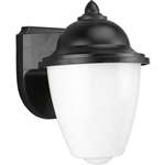Black 1 60 Watts Medium Lantern