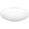 White 1 40 Watts Medium Shower Trim