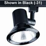 1 75 Watts PAR30 Track HD