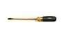 Raptor Pro Slot Screwdriver 5/16X8