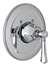 X Trim For CONC Thermostat Valve *WELLSF
