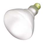 65 Watts BR40 Medium Flood 120 Volts Lamp