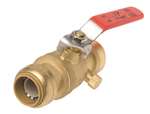Lead Law Compliant 1/2 *shark Ball Valve With Drain