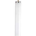 75 Watts F96 T12 Cwx 8 feet Lamp
