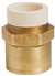 Lead Law Compliant Not Certified 1/2 FIP X 1/2 CPVC Socket Copper Adapter