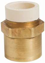 Lead Law Compliant Not Certified 3/4 FIP X CPVC Socket Adapter