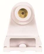Fluorescent PLGR For Slimlime