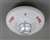 Spkr Strobe Ceiling White