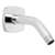 Shower Arm & Flange PC