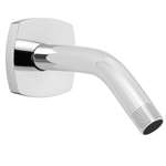 Shower Arm & Flange PC